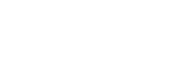 CONVIS